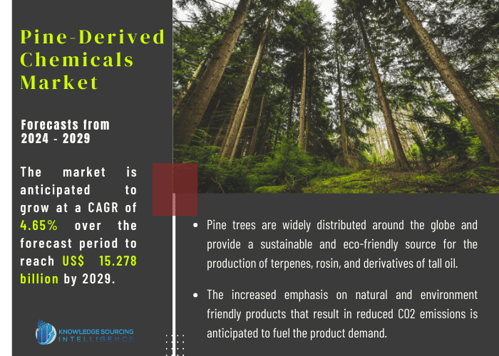 pine-derived chemicals market